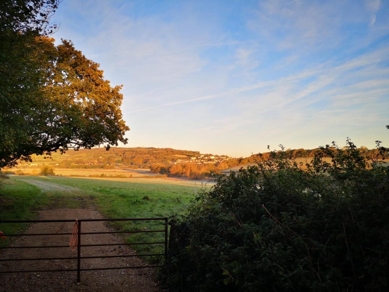 Sandown Manor Bagian luar foto
